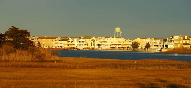 Avalon Bayfront Afternoon Sunshine