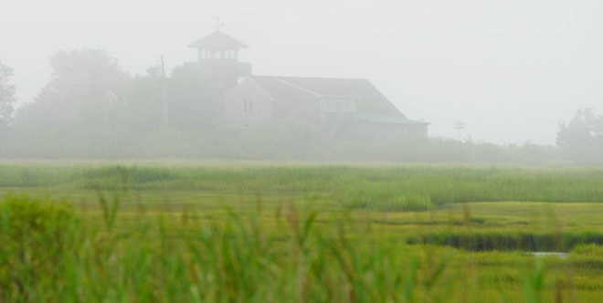 The Wetlands Institute