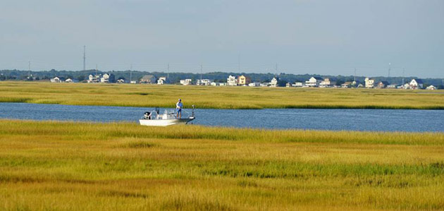Back Bay Fisherman - Stone Harbor Boulevard